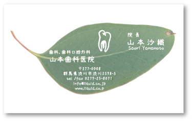 歯科医師名刺30 ユーカリ